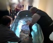 May 31, 2015 Baptism